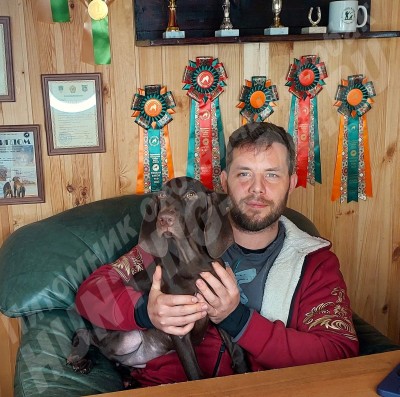 Новые владельцы